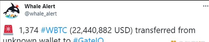 马斯克称，自新的认证系统正式上线之前将人工审核所有验证信息