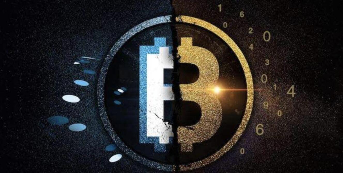 Gokhshtein Media创始人David Gokhshtein 在社交媒体上披露感觉Vitalik Buterin和Elon Musk会联手开发狗狗币