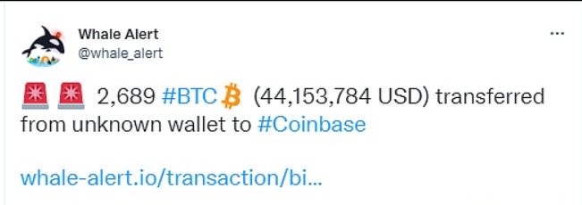 获选项目主要分布在DID钱包、feed协议、数据分析工具、平台、Web3身份等领域