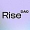 RiseDAO