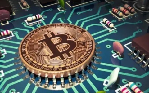 NFT最新项目y00ts是什么