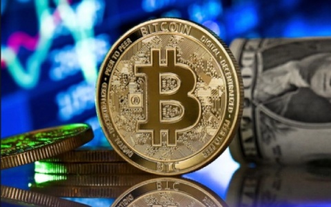 新数字资产平台WP NEX