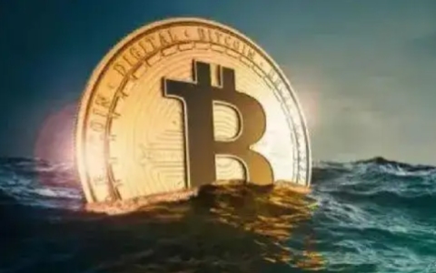 NFT项目The Plague of Frogs和元宇宙品牌ZTimes