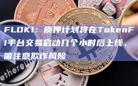 FLOKI：质押计划将在TokenFi平台交易启动几个小时后上线，需注意欺诈风险