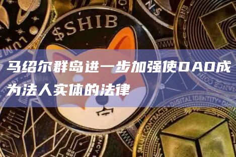 DAO 的每个成员都可以匿名