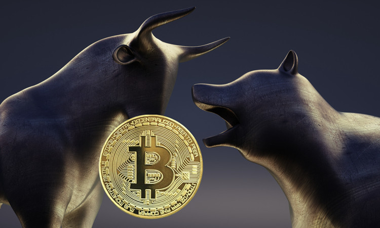 基于Solana的资金流入总额接近7000万美元