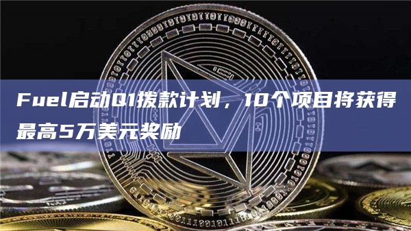 模块化执行层Fuel介绍