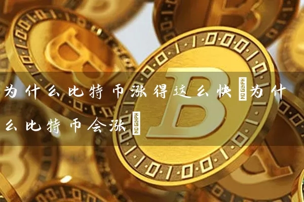 为什么比特币涨幅这么大的原因