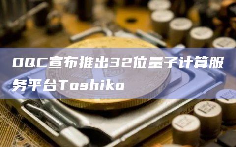 Toshiko是“世界上第一个企业级量子计算平台”