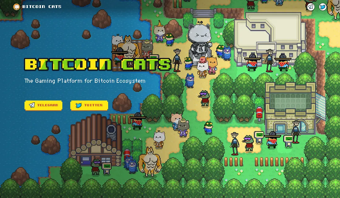 铭文IDO 平台（三大代表）