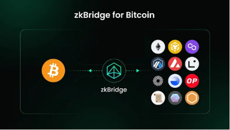 市场铭文数据分析