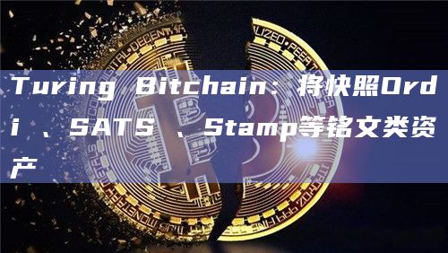 比特币二层网络Turing Bitchain即将快照优质铭文