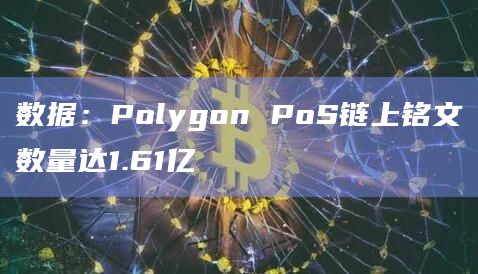 Polygon PoS链上铭文数量排名榜首