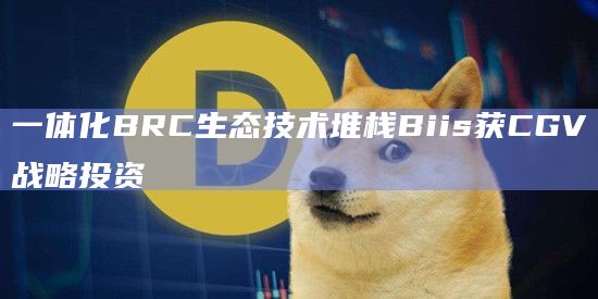 一体化BRC生态技术堆栈Biis是什么？