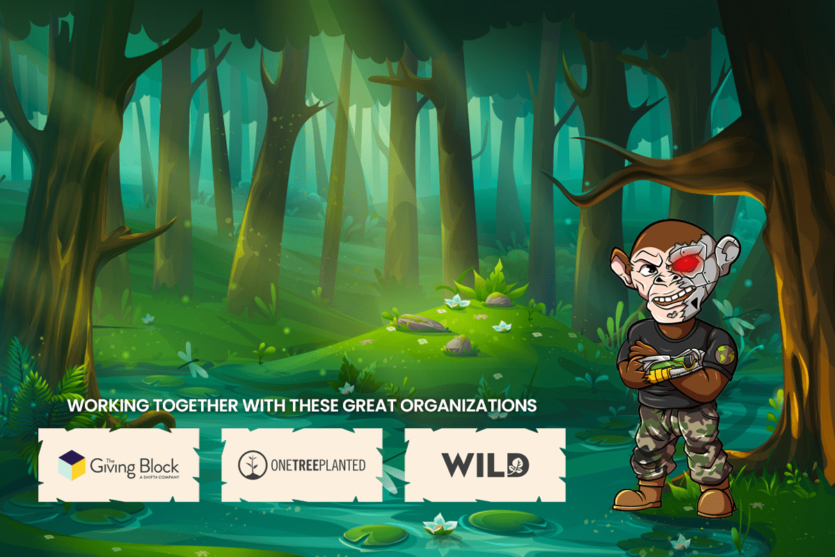 构建一个整体和可持续的加密生态系统