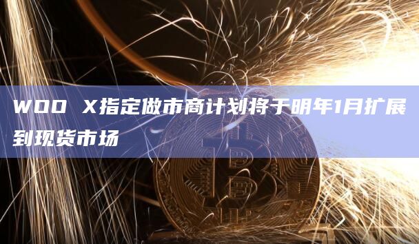 WOO永续合约DMM模型占期货市场挂单交易量的近80%