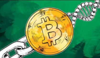 什么平台能交易usdt