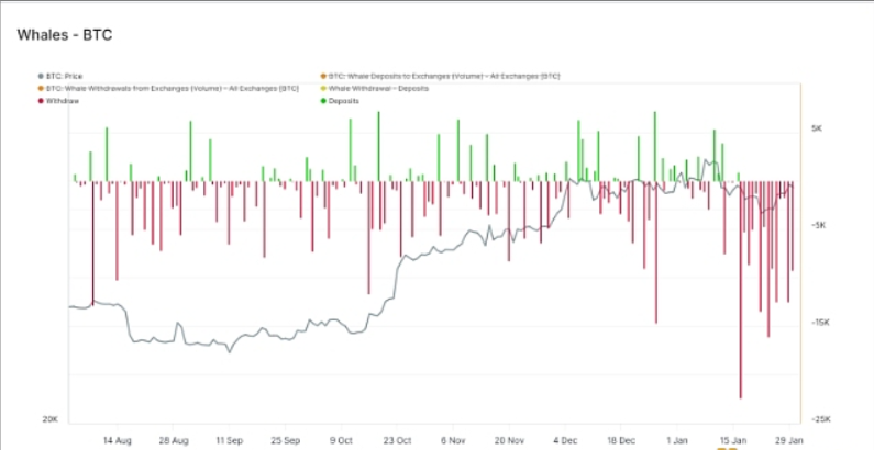 ZetaChain宣布已启动ZetaChain主网测试版
